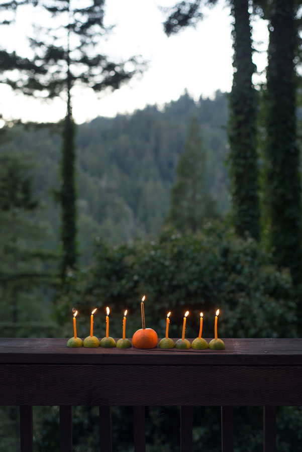 forest feast hannukah candles